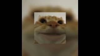 Download Lagu save you tears speed up MP3