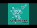 You Always Break