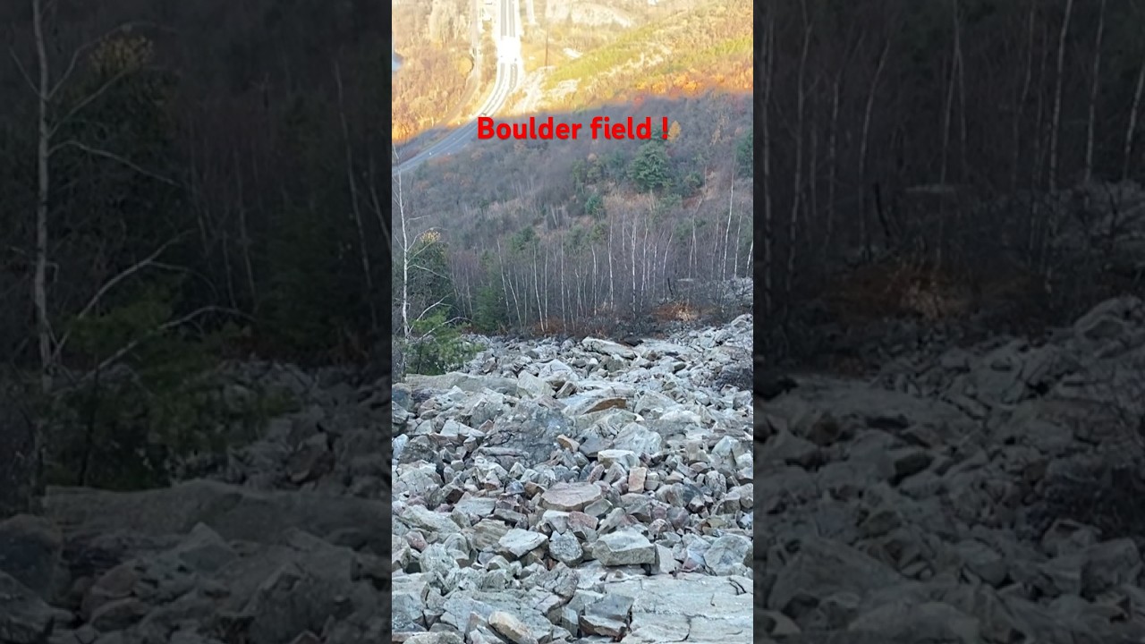 Boulder field at Lehigh Gap 