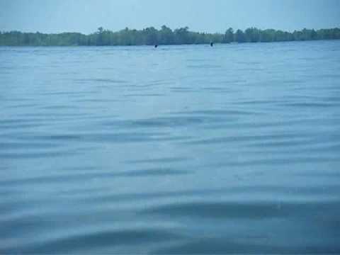 watershed going to start doing work with the underwater cams