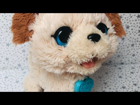 FurReal Friends Pax