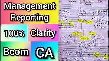 Management Reporting