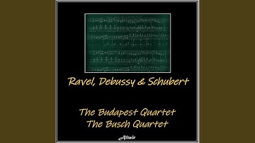 String Quartet NO. 15 in G Major, D. 887: IV. Allegro Assai