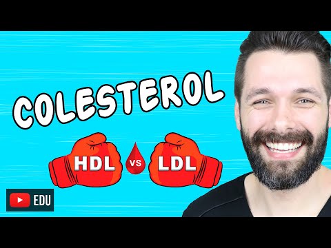 Vídeo: Como entender a diferença entre colesterol HDL e LDL