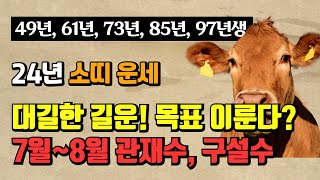 [띠별 운세] 2024년 소띠 나이대별 운세 연애운 건강운 재물운 승진운 학업운