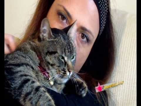 Video: Terapia Assistita Dagli Animali Per La Depressione