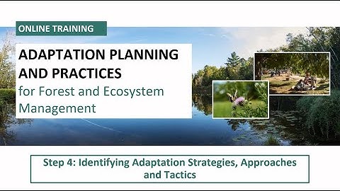 Adaptation Workbook - Step 4 IDENTIFY adaptation approaches and tactics for implementation