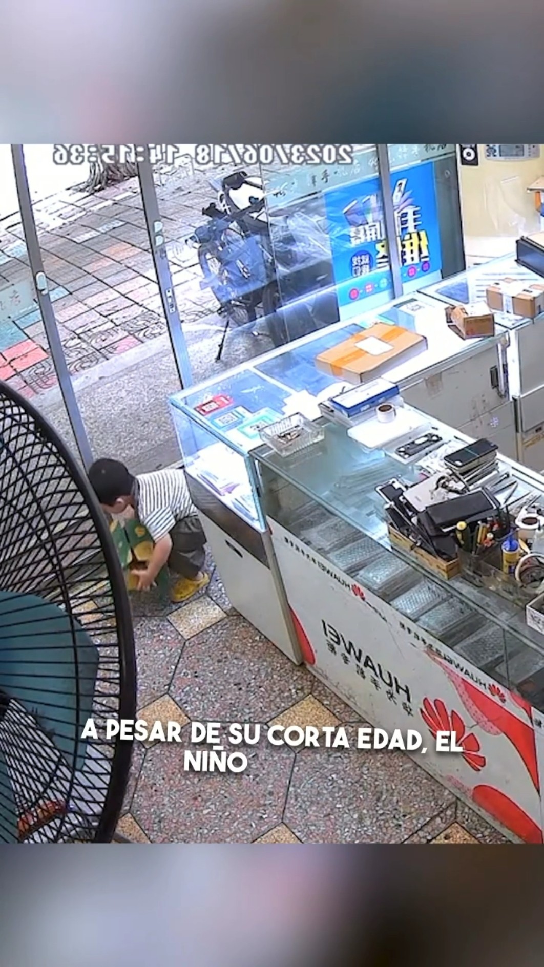 Aprendiendo Gratitud a los 3 Años ??
