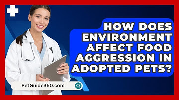 How Does Environment Affect Food Aggression In Adopted Pets? - PetGuide360.com