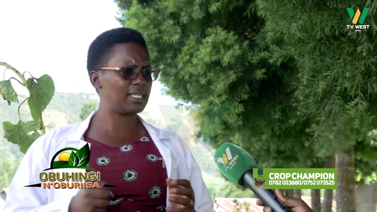 Obuhingi N'oburiisa: Kitagata Farm Institute. Abakugu omukuhinga n'okuriisa ah'itaka rikye