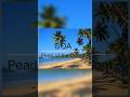 Interesting facts about Goa ❣️❣️❣️