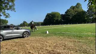 Advert ref 285395 video 1