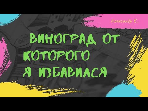 виноград от которого я избавился