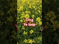 Omg#loop #loopvideo #funny #reels #masti #mastitime #shorts