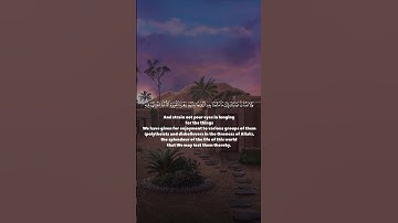 سورة طه (١٣٠-١٣٢) للشيخ محمد ايوب رحمه الله Surah Taha (130-132) | Sheikh Mohammed Ayyoub #القرآن