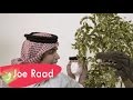 جو رعد مع تمساح Joe Raad 
