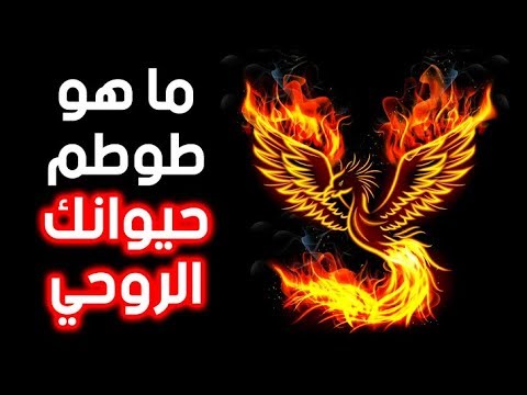 فيديو: ما هو تعريف السمات الرسومية؟