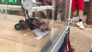 Breakpoint Vs. Lobotomy - Fight 4 - Antweight - Spinner's Spring 2021