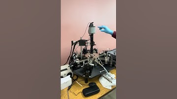 TTPX measurement 1: Start temperature controller, light, microscope