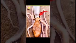 Octopus has no bones 🐙😮 । #shorts #facts