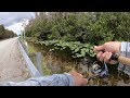 Canal fishing in the everglades for peacock bass