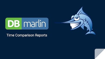 DBmarlin Time Comparison Report
