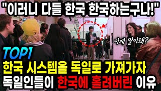 한국의 시스템을 독일로 가져가자 독일인들이 한국에 홀려버린 이유 TOP1