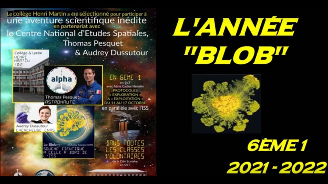 L'année BLOB des 6èmes 1 du CHM - 𝗩𝗲𝗿𝘀𝗶𝗼𝗻 4 (finale) / Cycle 3