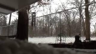 Thunder sleet, snow, lightning...march 2!