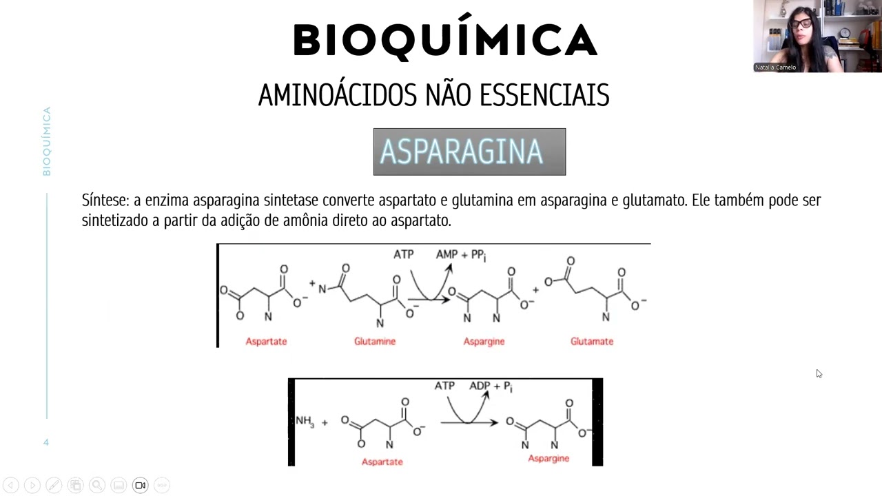 Não essenciais: ASPARAGINA