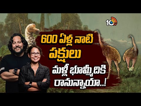 Scientists To Resurrect Tallest Bird To Have Ever Lived On Earth | 10TV News - 10TVNEWSTELUGU