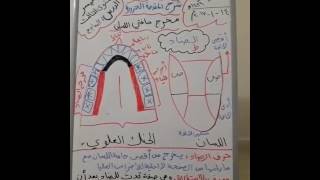 شرح المقدمة الجزرية_ الدرس 7 _ مخرج الضاد + صفة الاستطالة