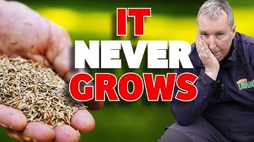 10 STUPID mistakes to AVOID overseeding your lawn