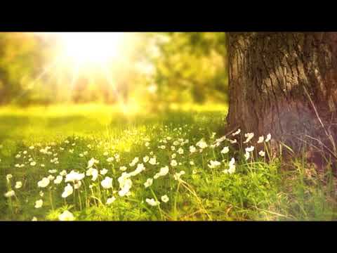 久保田利伸 You Go Lady 歌ってみた さちお