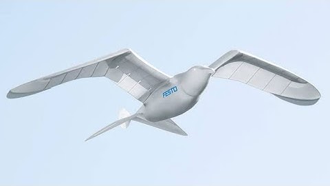 5 Amazing Robots You Won