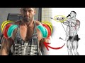 أقوى 9 تمارين لتكوير و تضخيم الكتف  Shoulder exercices  (أكتاف 3D)