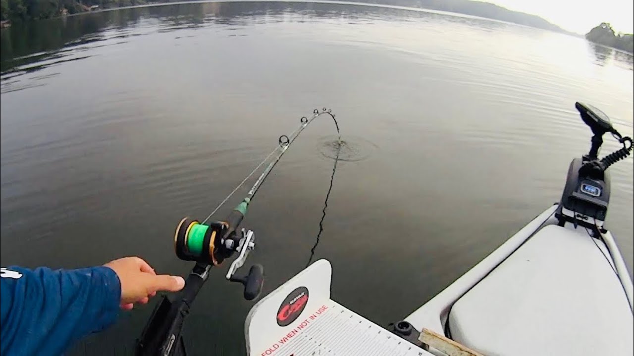 CATFISH SLAM!!! Triple Takedown