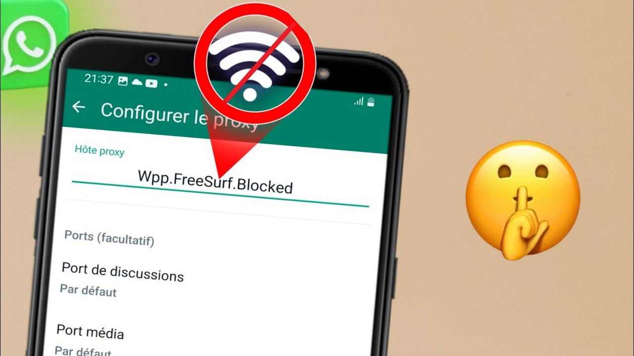 Comment utiliser WhatsApp Sans Connexion internet.