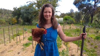 Three months of growing our own food in the hills of Central Portugal  Spring