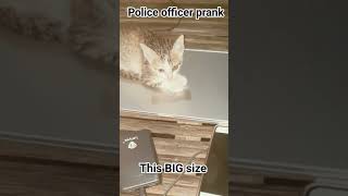 police officer prank shorts