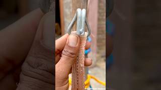 Works perfectly! A great tip for securing a strap to a post!!