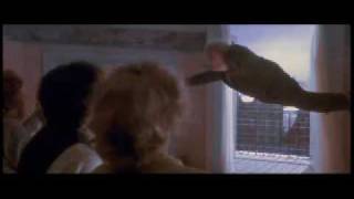 Marbles Found - Clip From Hook