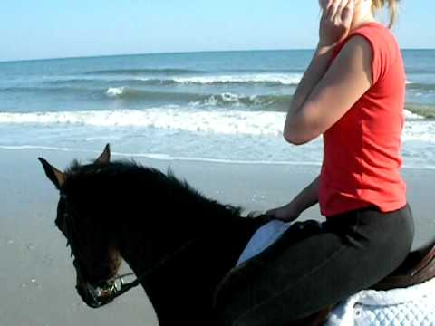 horseback riding on the beach - YouTube