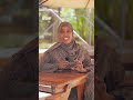 Maxay tahay heesta Soomaaliga ah ee uu adeegsaday Aqalka Cad ee Mareykanka?