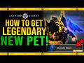 Crimson Desert - How to Get HYACINTH MACAW New Legendary Bird Pet Guide (1.05.00 Update New Pets)
