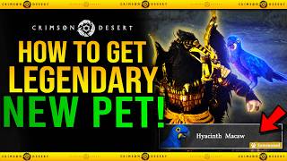 Crimson Desert - How to Get HYACINTH MACAW New Legendary Bird Pet Guide (1.05.00 Update New Pets) screenshot 2