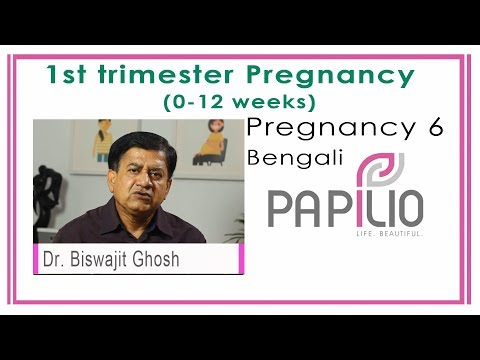 First trimester pregnancy. pregnancy 7 1st - 12 weeks period missed urine test transvaginal sonography/scan (tvs) usg blood t...