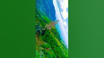 Thumbnail of Sonnalum Ketpadhillai (feat) Ravi G #status