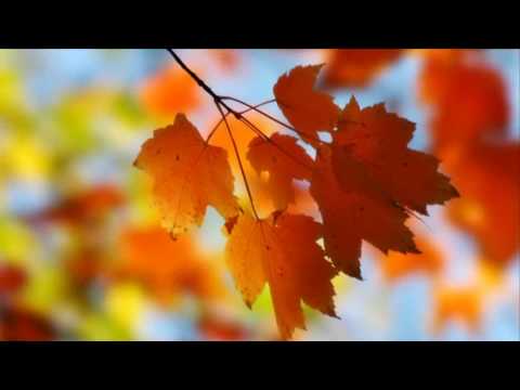 Christina Ghubril (prod. Emil Brikha) - A letter to my unborn daughter.