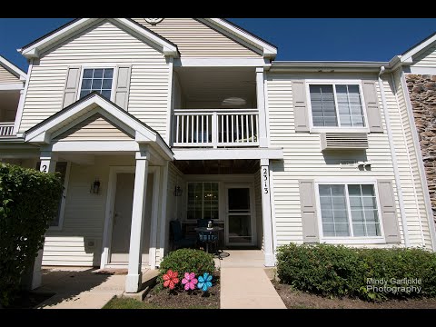 2313 Silverstone Dr, Carpentersville, IL home video tour